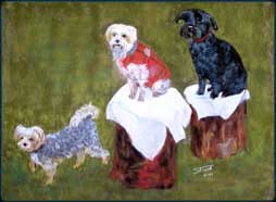 echien etat unis