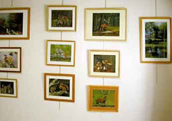 expo bourron