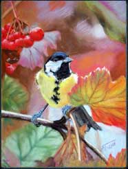 mésange charbonnière
