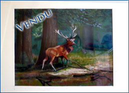 la balade du cerf