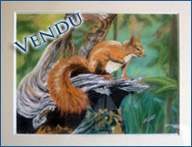 l'écureuil au aguêt