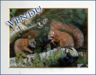 écureuils