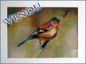mésange